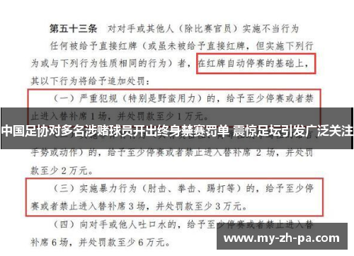 中国足协对多名涉赌球员开出终身禁赛罚单 震惊足坛引发广泛关注